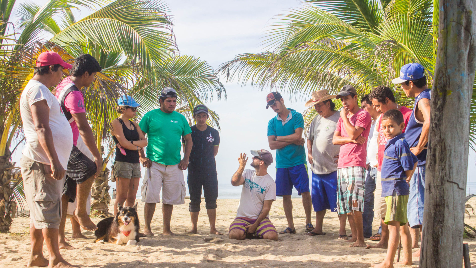 Capacitation Course for Sea Turtle Camps in the State of Guerrero